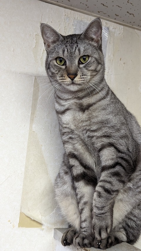 PXL_20221204_095450451