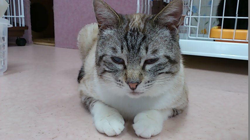イメージ 2