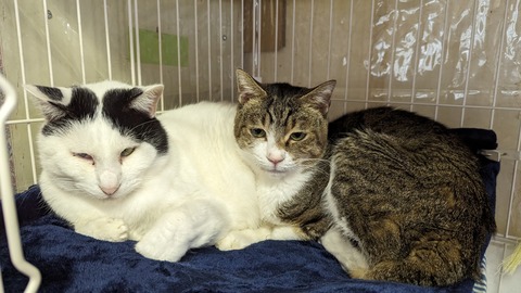 PXL_20240106_041434513