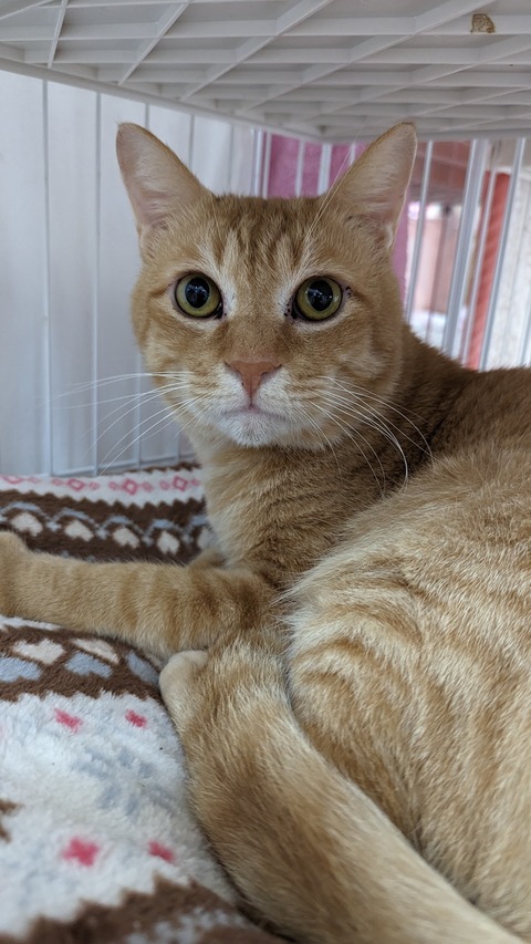 PXL_20221211_070240260