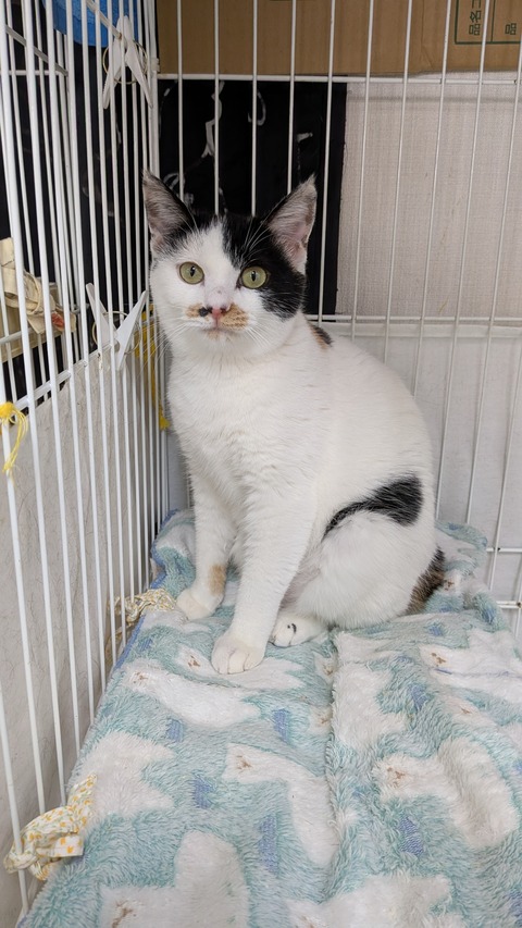 PXL_20251123_050743361