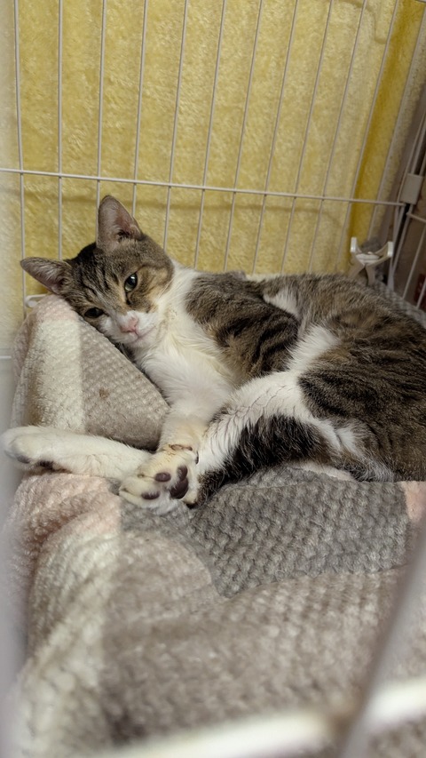 PXL_20241215_072254427