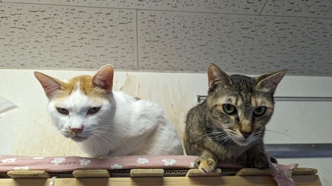 PXL_20240616_074905200