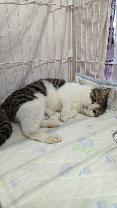 PXL_20230521_070141101