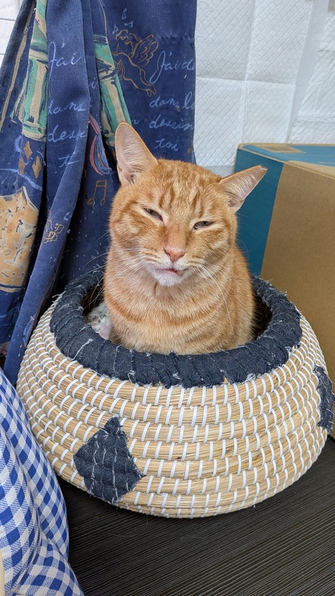 PXL_20251123_064442842