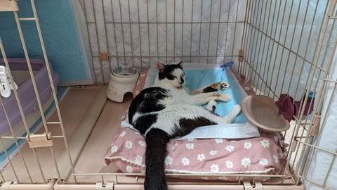 PXL_20240525_093539514