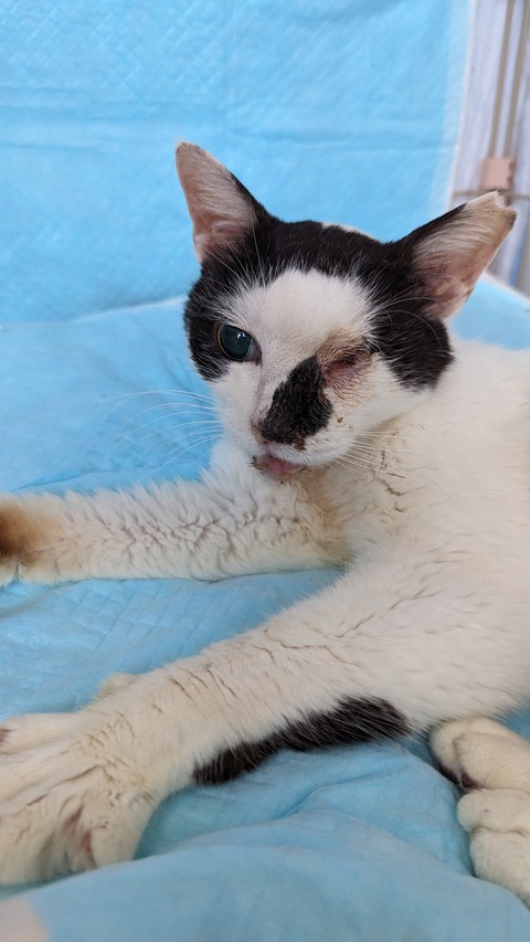 PXL_20240608_035317727