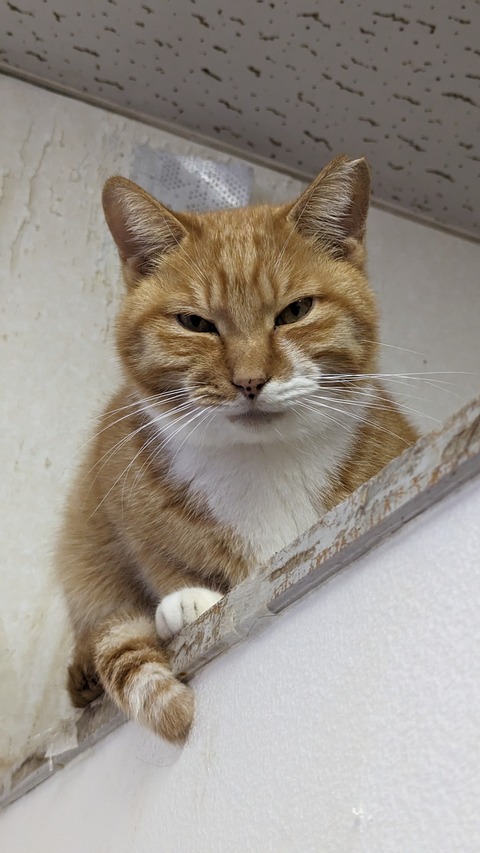 PXL_20231203_070624240