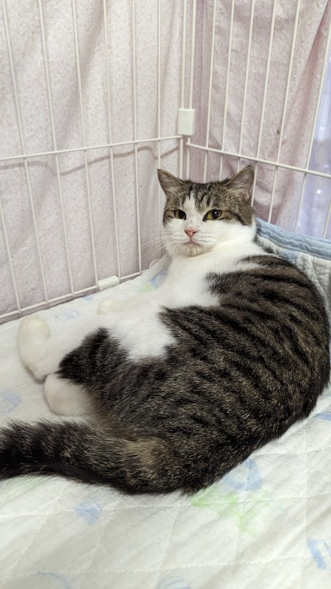 PXL_20230521_070148107