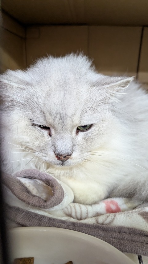 PXL_20250208_090821261