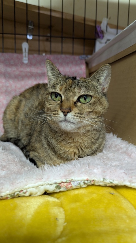 PXL_20241201_094700141