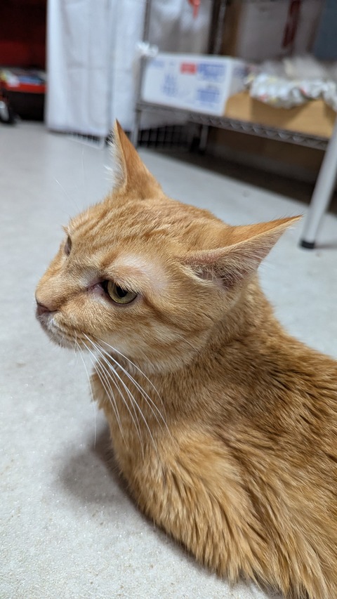 PXL_20250614_092653155