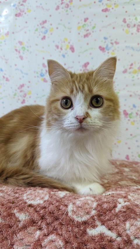 PXL_20240121_012349262