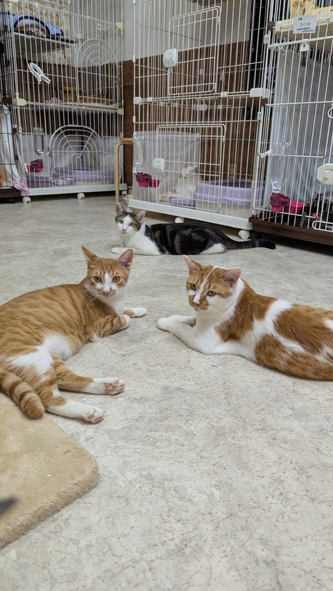 PXL_20250713_092444364