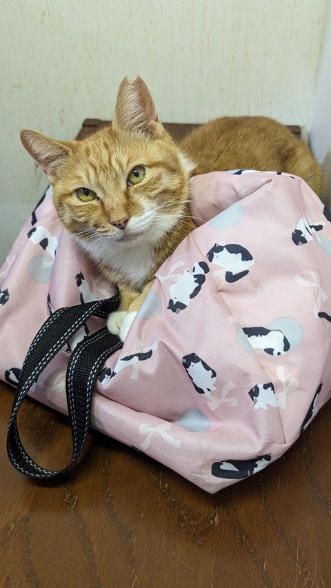 PXL_20230820_090538859