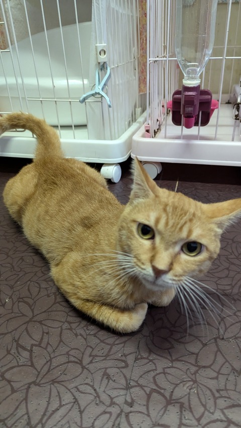 PXL_20241006_073550841