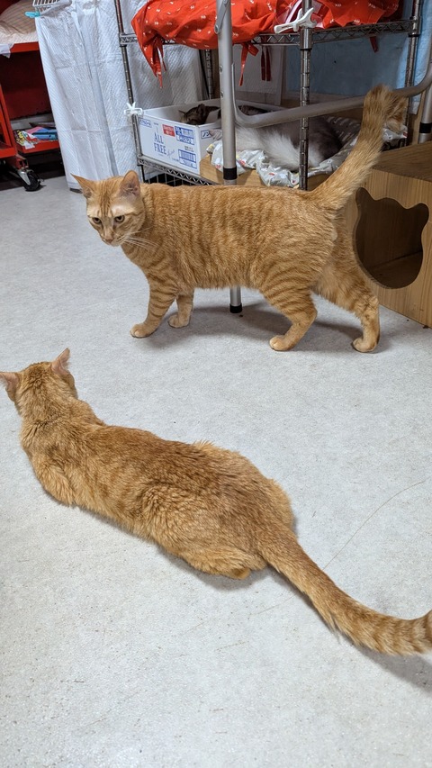 PXL_20250614_092643654