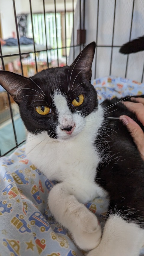 PXL_20230610_040450888