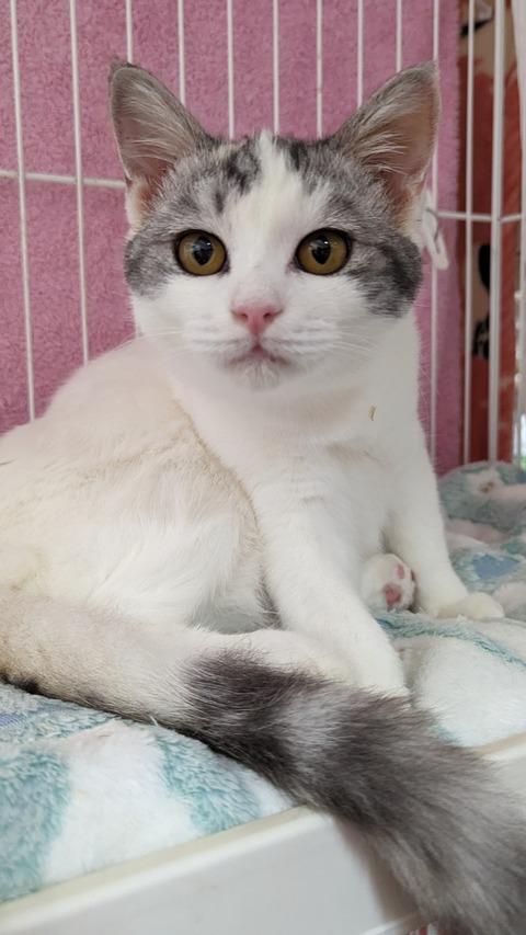 PXL_20221129_072029108