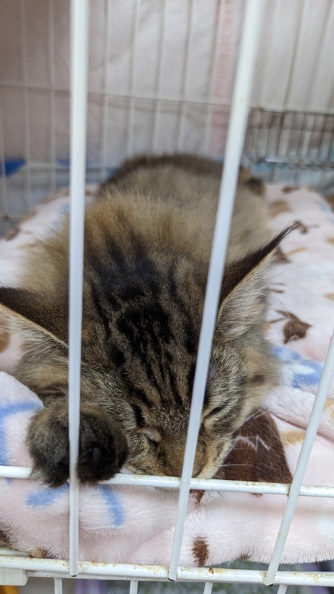 PXL_20221211_052354404