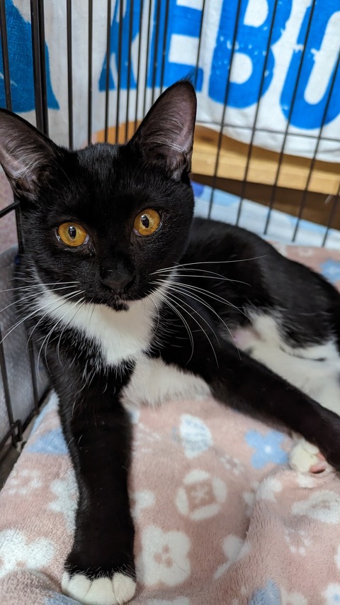 PXL_20221211_043901605