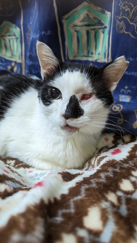 PXL_20240421_093227695