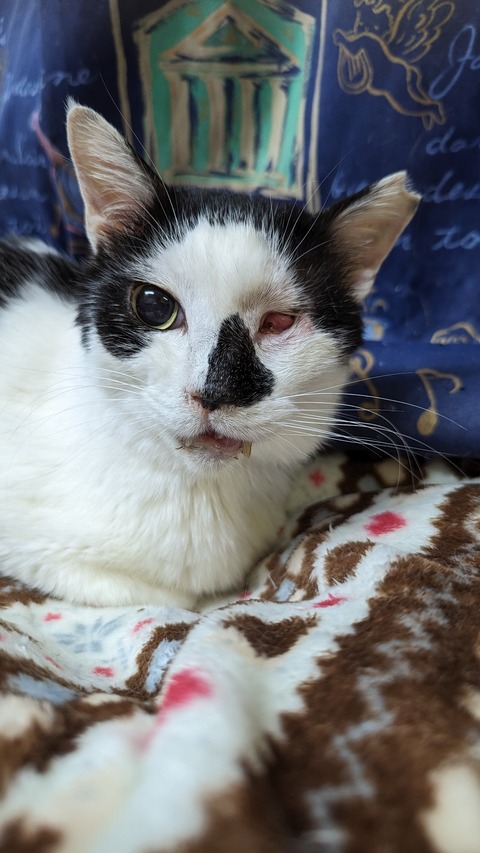 PXL_20240421_093229648