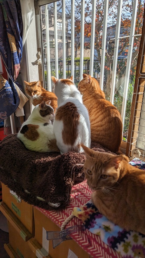 PXL_20231217_000727062