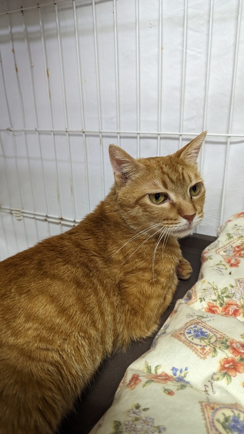 PXL_20240525_093637705