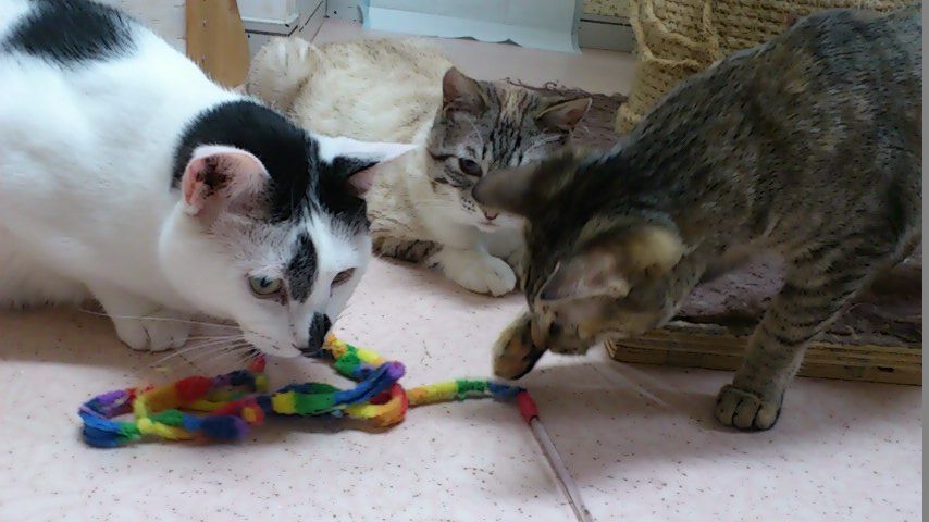 イメージ 3