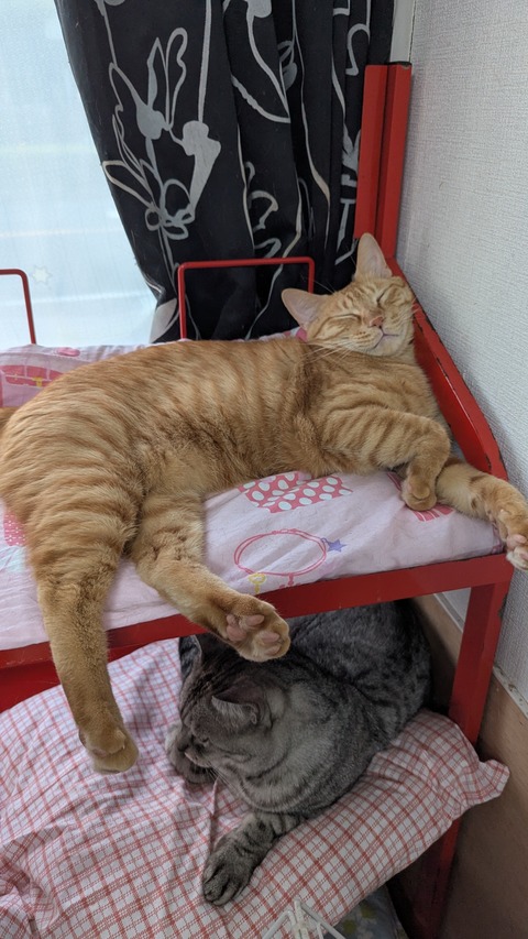 PXL_20250802_092634503