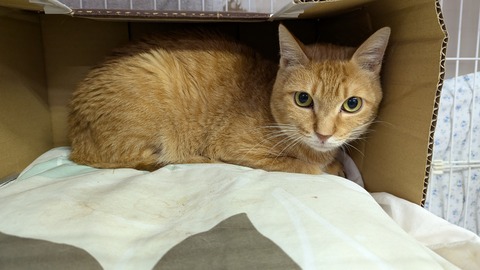 PXL_20241004_235241150