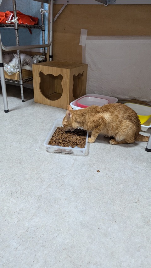 PXL_20250614_084019595