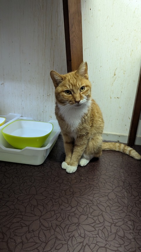 PXL_20240310_092124195