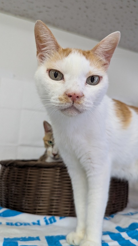 PXL_20250727_064821043