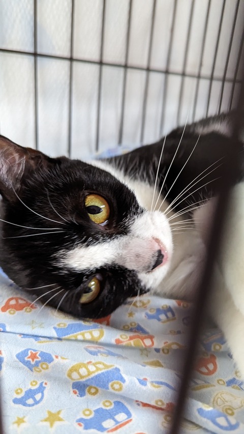 PXL_20230610_040205555