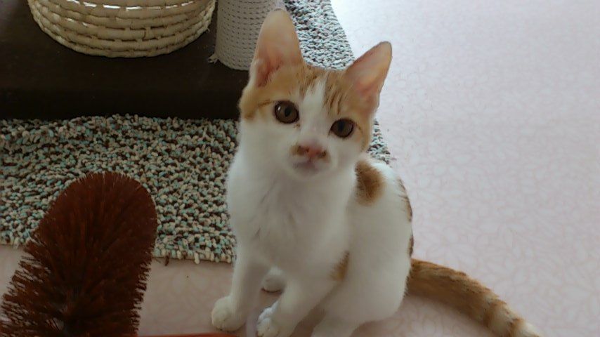 イメージ 2
