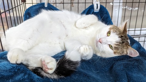 PXL_20240107_085728052