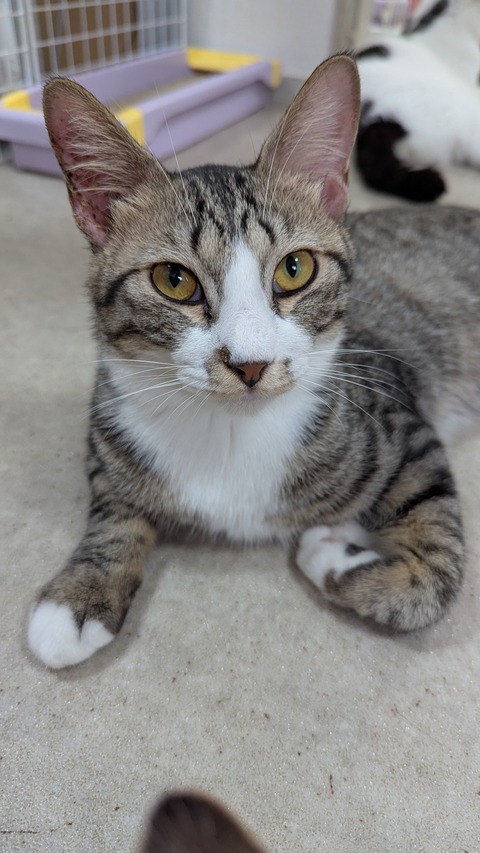 PXL_20250809_082613056