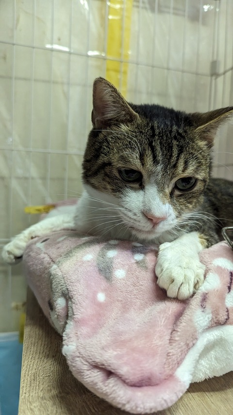 PXL_20240421_093739635