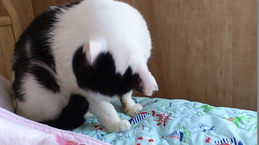 イメージ 7