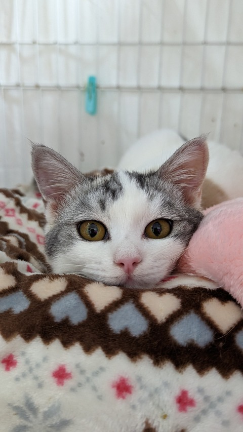 PXL_20221129_071638246