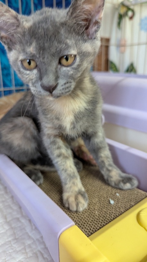 PXL_20250824_062753078