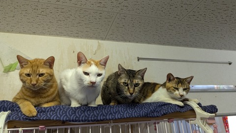 PXL_20240728_055924359