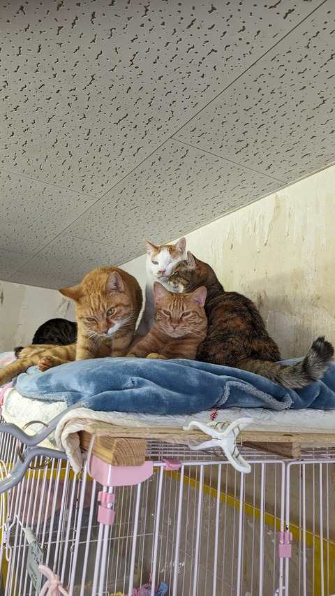 PXL_20240114_022825753