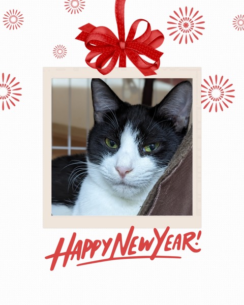 Polish_20230101_203928223