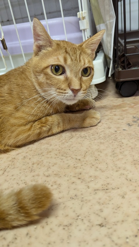 PXL_20240829_075114284