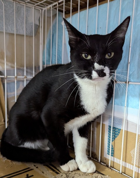 PXL_20241005_032234641