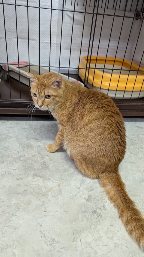 PXL_20250215_043557137