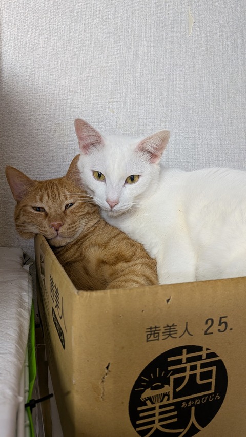 PXL_20251130_085255851